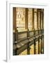 Gallery of the Old Library, Trinity College, Dublin, County Dublin, Eire (Ireland)-Bruno Barbier-Framed Photographic Print