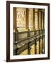 Gallery of the Old Library, Trinity College, Dublin, County Dublin, Eire (Ireland)-Bruno Barbier-Framed Photographic Print