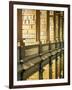 Gallery of the Old Library, Trinity College, Dublin, County Dublin, Eire (Ireland)-Bruno Barbier-Framed Photographic Print