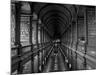 Gallery of the Old Library, Trinity College, Dublin, County Dublin, Eire (Ireland)-Bruno Barbier-Mounted Photographic Print