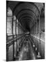 Gallery of the Old Library, Trinity College, Dublin, County Dublin, Eire (Ireland)-Bruno Barbier-Mounted Photographic Print