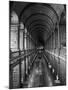 Gallery of the Old Library, Trinity College, Dublin, County Dublin, Eire (Ireland)-Bruno Barbier-Mounted Photographic Print