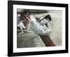 Gallery Player-Edgar Degas-Framed Art Print