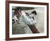 Gallery Player-Edgar Degas-Framed Art Print