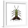 Gallery Pops Cartoon Network Rick and Morty - Pickle Rick Cockroach Limbs Wall Art-Trends International-Framed Gallery Pops