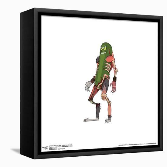 Gallery Pops Cartoon Network Rick and Morty - Pickle Rick Rat Suit Wall Art-Trends International-Framed Stretched Canvas