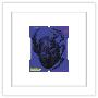 Gallery Pops White Frame