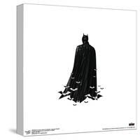 Gallery Pops DC Comics The Batman - Bat Cape Graphic Wall Art-Trends International-Stretched Canvas