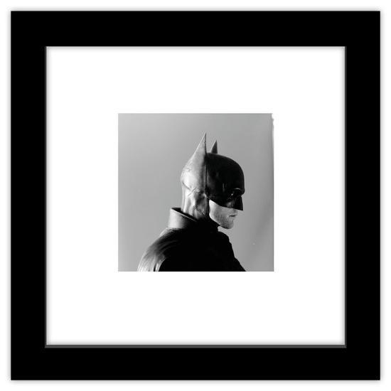 Gallery Pops, , large