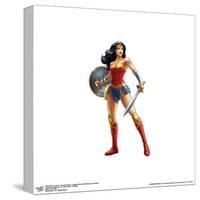 Gallery Pops DC Comics Wonder Woman - Wonder Woman With Sword and Shield Wall Art-Trends International-Stretched Canvas