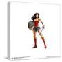 Gallery Pops DC Comics Wonder Woman - Wonder Woman With Sword and Shield Wall Art-Trends International-Stretched Canvas