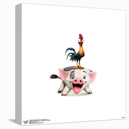 Gallery Pops Disney Moana - Hei Hei and Pua Wall Art-Trends International-Stretched Canvas