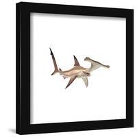 Gallery Pops Disney Pixar Finding Nemo - Anchor Wall Art-Trends International-Framed Gallery Pops