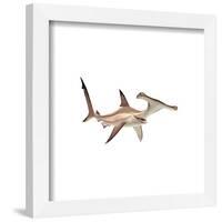 Gallery Pops Disney Pixar Finding Nemo - Anchor Wall Art-Trends International-Framed Gallery Pops