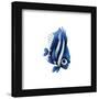 Gallery Pops Disney Pixar Finding Nemo - Deb Wall Art-Trends International-Framed Gallery Pops