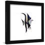 Gallery Pops Disney Pixar Finding Nemo - Gill Wall Art-Trends International-Framed Gallery Pops