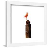 Gallery Pops Disney Pixar Finding Nemo - Nigel Wall Art-Trends International-Framed Gallery Pops