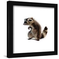 Gallery Pops Disney Pixar The Incredibles 2 - Rocky Raccoon Wall Art-Trends International-Framed Gallery Pops