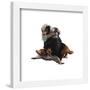 Gallery Pops Fantastic Beasts: The Secrets of Dumbledore - Nifflers Wall Art-Trends International-Framed Gallery Pops