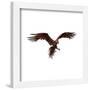 Gallery Pops Fantastic Beasts: The Secrets of Dumbledore - Phoenix Wall Art-Trends International-Framed Gallery Pops