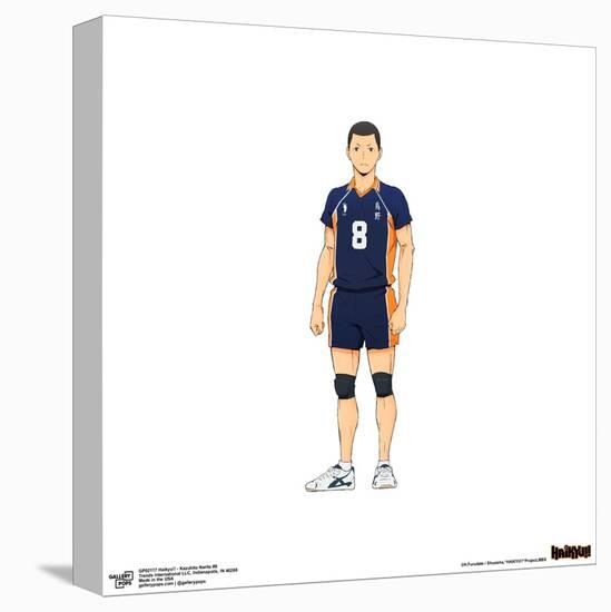 Gallery Pops Haikyu!! - Kazuhito Narita #8 Wall Art-Trends International-Stretched Canvas