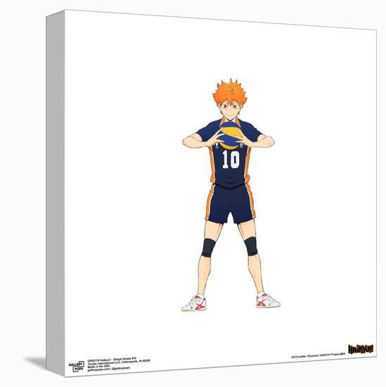 Gallery Pops Haikyu!! - Shoyo Hinata #10 Wall Art-Trends International-Stretched Canvas