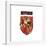 Gallery Pops Harry Potter - Gryffindor Crest Icon Wall Art-Trends International-Framed Gallery Pops