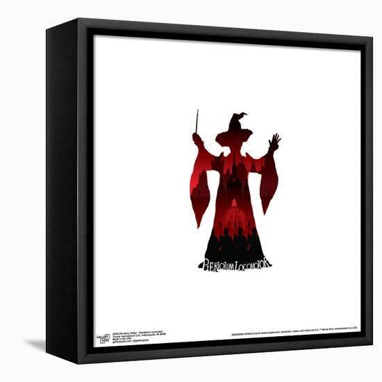 Gallery Pops Harry Potter - Piertotum Locomotor Wall Art-Trends International-Framed Stretched Canvas