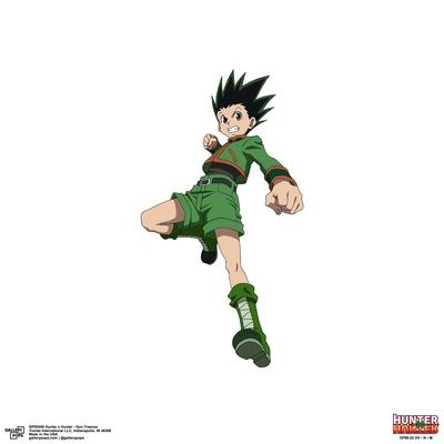 Free: Cool Wallpaper Anime Hunter X Hunter Gon Freecss Png - Gon