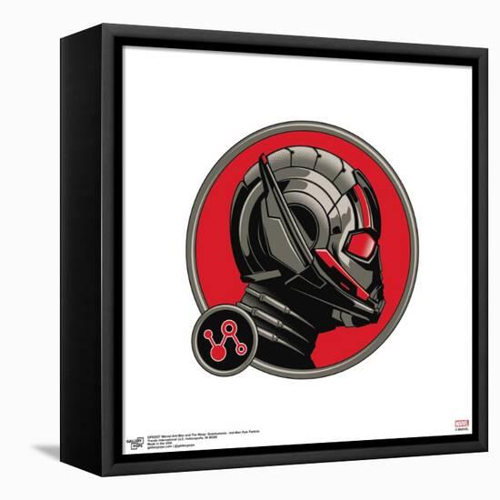 Gallery Pops Marvel Ant-Man and the Wasp: Quantumania - Ant-Man Pym Particle Wall Art-Trends International-Framed Stretched Canvas