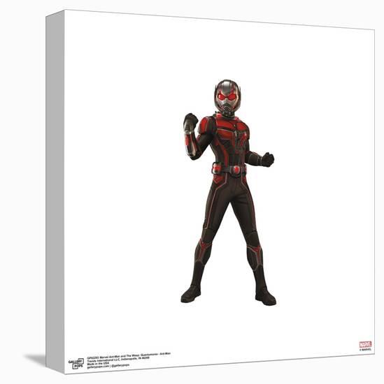 Gallery Pops Marvel Ant-Man and the Wasp: Quantumania - Ant-Man Wall Art-Trends International-Stretched Canvas