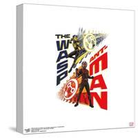 Gallery Pops Marvel Ant-Man and the Wasp: Quantumania - Transformation Wall Art-Trends International-Stretched Canvas