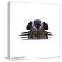 Gallery Pops Marvel Black Panther - Shuri Black Panther Logo Wall Art-Trends International-Stretched Canvas
