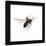 Gallery Pops Marvel Comics Avengers - Ant-Man Wall Art-Trends International-Framed Gallery Pops