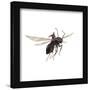 Gallery Pops Marvel Comics Avengers - Ant-Man Wall Art-Trends International-Framed Gallery Pops