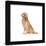 Gallery Pops Marvel Hawkeye - Lucky Pizza Dog Wall Art-Trends International-Framed Gallery Pops