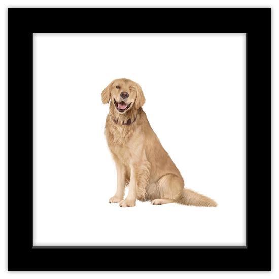 Gallery Pops, , large