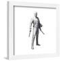 Gallery Pops Marvel Moon Knight - Mr. Knight Wall Art-Trends International-Framed Gallery Pops