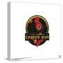 Gallery Pops Marvel Spider-Man: No Way Home - Spider-Man Icon Wall Art-Trends International-Stretched Canvas