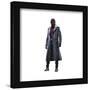 Gallery Pops Marvel The Falcon And The Winter Soldier - Baron Zemo Wall Art-Trends International-Framed Gallery Pops