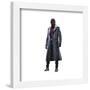 Gallery Pops Marvel The Falcon And The Winter Soldier - Baron Zemo Wall Art-Trends International-Framed Gallery Pops