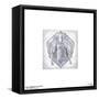 Gallery Pops Marvel WandaVision - White Vision Wall Art-Trends International-Framed Stretched Canvas