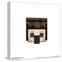 Gallery Pops Minecraft: Legends - Skeleton Icon Wall Art-Trends International-Stretched Canvas