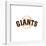 Gallery Pops MLB San Francisco Giants - Primary Club Logo Wall Art-Trends International-Framed Gallery Pops