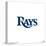 Gallery Pops MLB Tampa Bay Rays - Primary Club Logo Wall Art-Trends International-Stretched Canvas