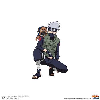 Naruto Photo card Hatake Kakashi Promo B