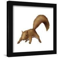 Gallery Pops National Lampoon's Christmas Vacation - Squirrel Wall Art-Trends International-Framed Gallery Pops