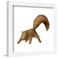 Gallery Pops National Lampoon's Christmas Vacation - Squirrel Wall Art-Trends International-Framed Gallery Pops