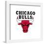 Gallery Pops NBA Chicago Bulls - Global Logo Wall Art-Trends International-Framed Gallery Pops