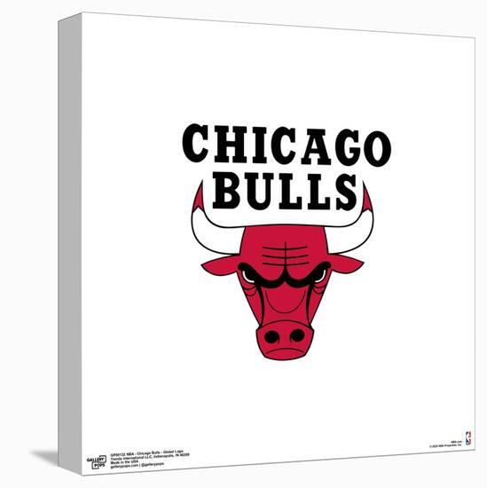 Gallery Pops NBA Chicago Bulls - Global Logo Wall Art-Trends International-Stretched Canvas